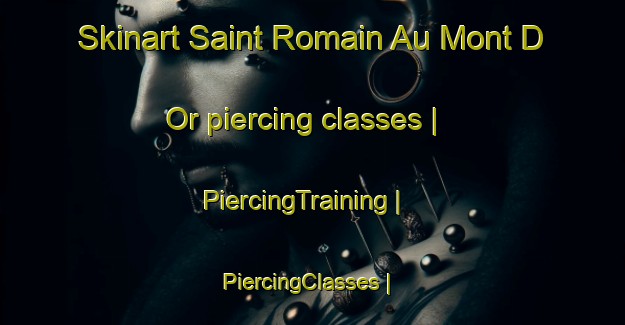 Skinart Saint Romain Au Mont D Or piercing classes | PiercingTraining | PiercingClasses | SkinartTraining-France